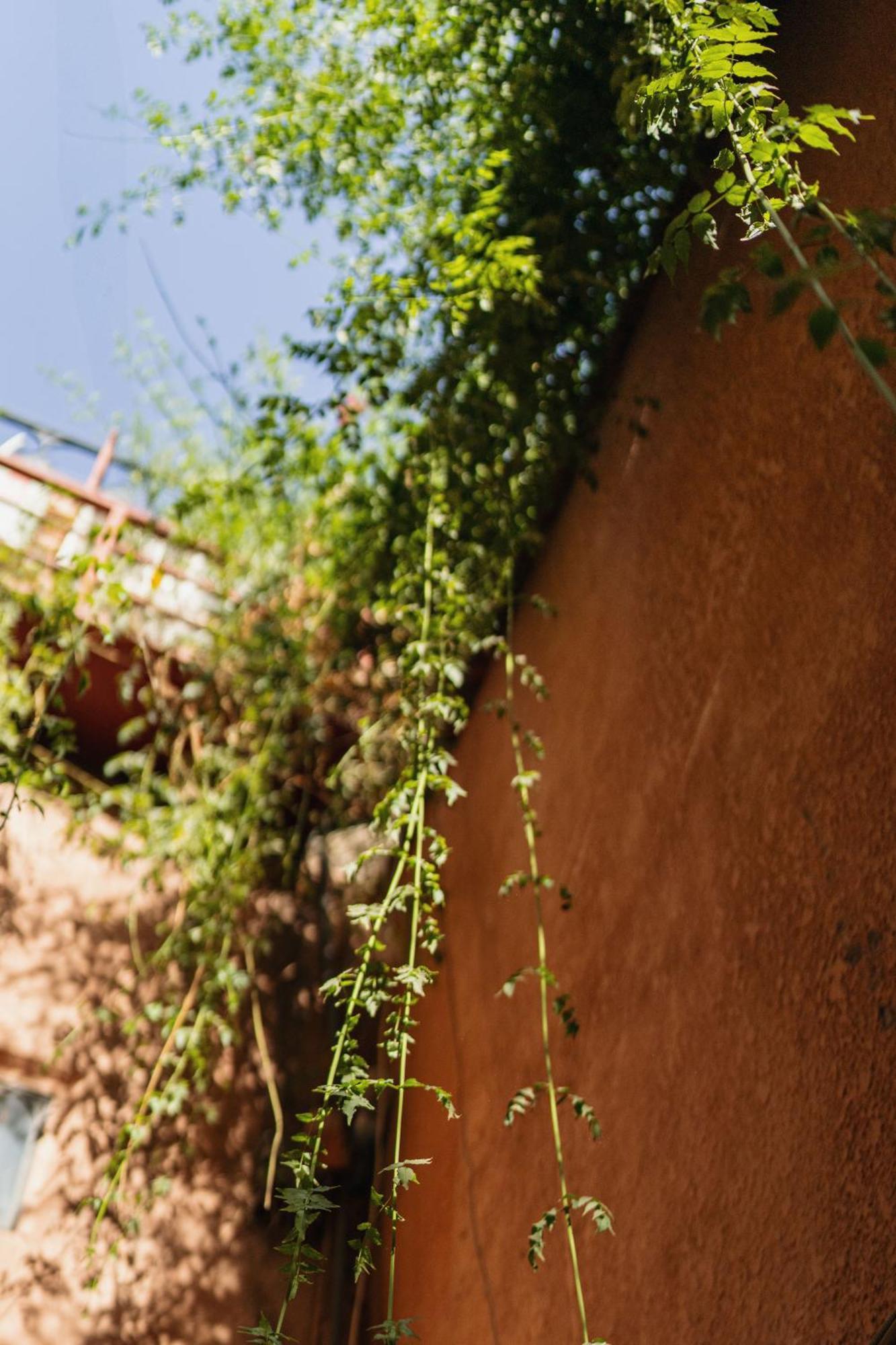Riad Senja マラケシュ エクステリア 写真